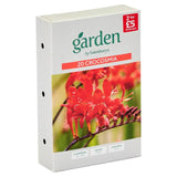 Crocosmias de jardin Sainsbury's x20