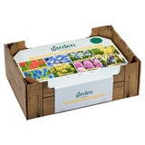 Collection de fleurs printanières de Sainsbury's