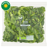 Sainsburys Ready Prepared Spring Greens 200g