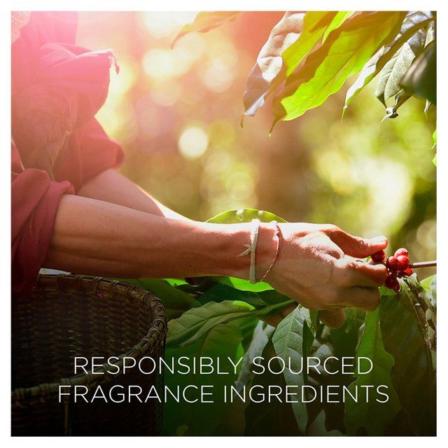 Airwick Botanica Reed Pineapple & Tunisian Rosemary   80ml - McGrocer