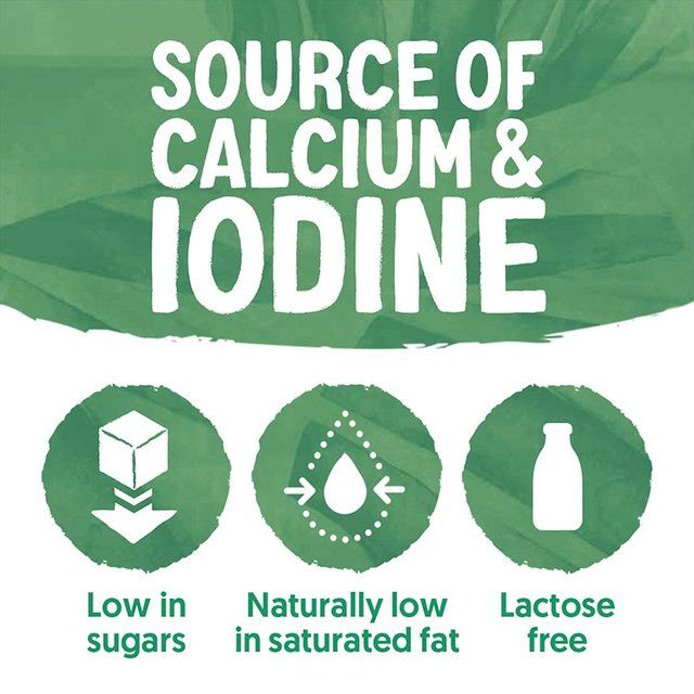 Alpro This Is Not Milk Semi   750ml - McGrocer