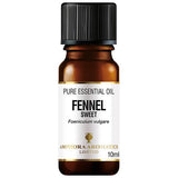 Amphora Aromatics Fennel Essential Oil 10ml - McGrocer