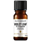 Amphora Aromatics Violet Leaf Abs Diluted 5% 10ml - McGrocer