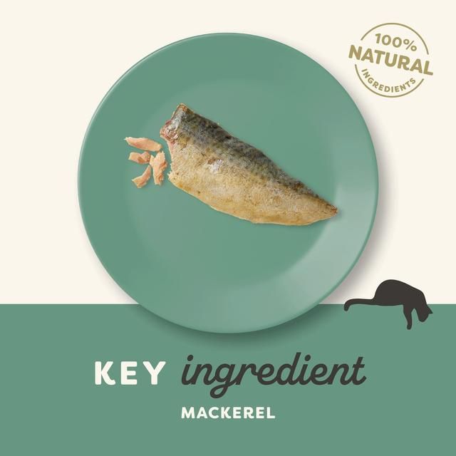 Applaws Cat Mackerel Loin   30g - McGrocer
