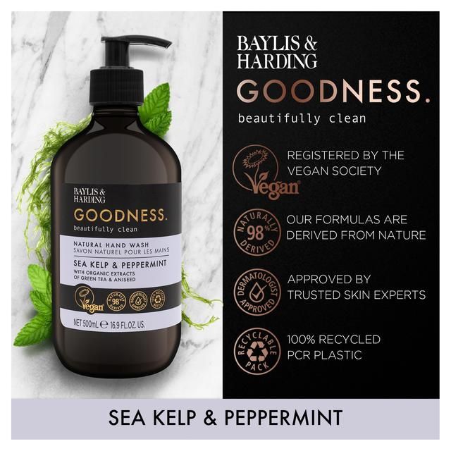 Baylis & Harding Goodness Sea Kelp & Peppermint Hand Wash   500ml - McGrocer