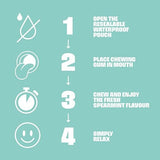 BLOCKHEAD Calm Gum - 12 Pack (84 Pieces) - McGrocer