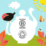 Clipper Organic Fairtrade Restoring Roots Ginger &amp;amp; Turmeric 20 Tea Bags   20 per pack