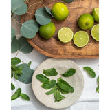 Clothes Doctor Eco Liquid Detergent for Sportswear &amp;amp; Synthetics   250ml