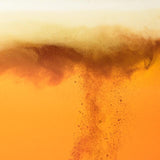 BrewDog Punk IPA   4 x 330ml - McGrocer