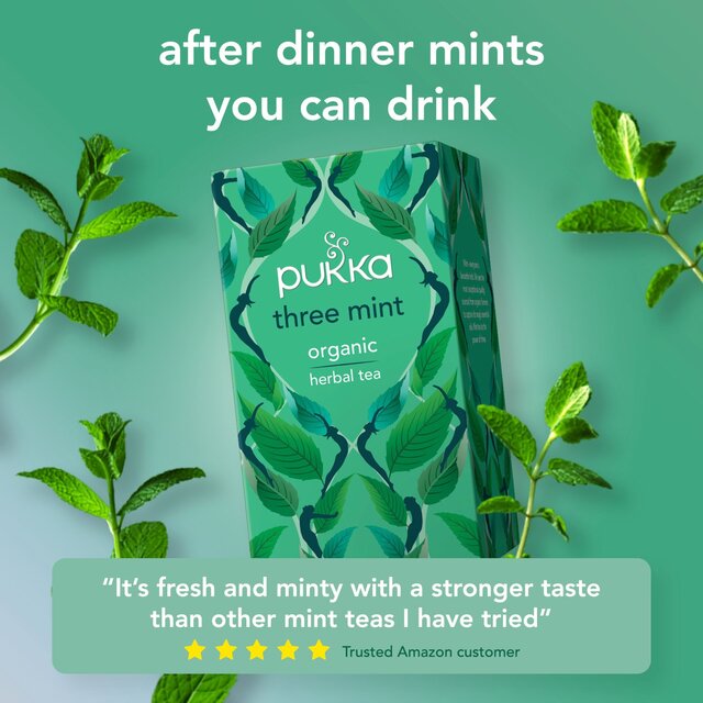 Pukka Organic Three Mint Tea 20 Home Compostable Herbal Tea Bags 32g   20 per pack - McGrocer