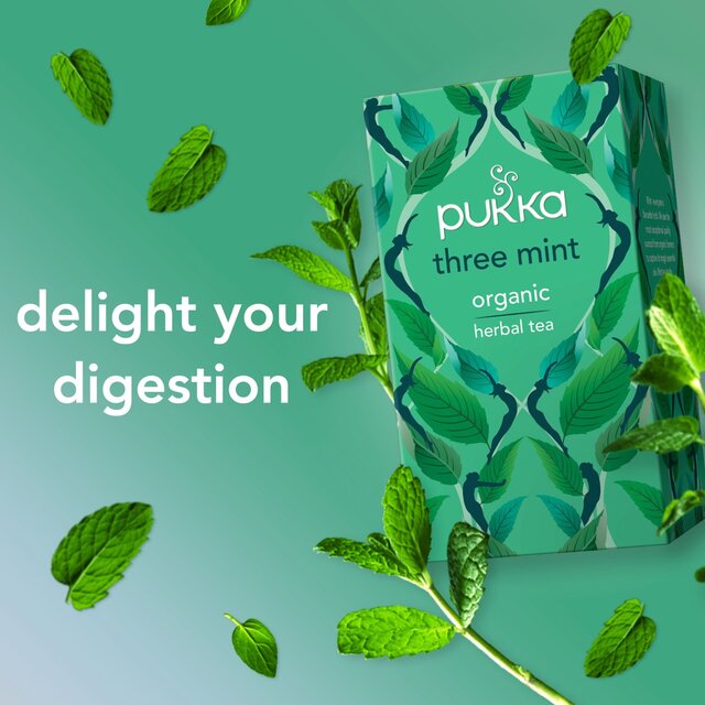 Pukka Organic Three Mint Tea 20 Home Compostable Herbal Tea Bags 32g   20 per pack - McGrocer