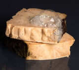 Figs and Leaves Soap