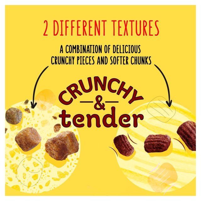 Go-Cat Crunchy &amp;amp; Tender Salmon and Tuna Dry Cat Food    900g