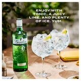 Gordon's London Dry Gin   1L
