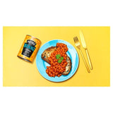 Heinz Tinned Baked Beans Tikka   390g