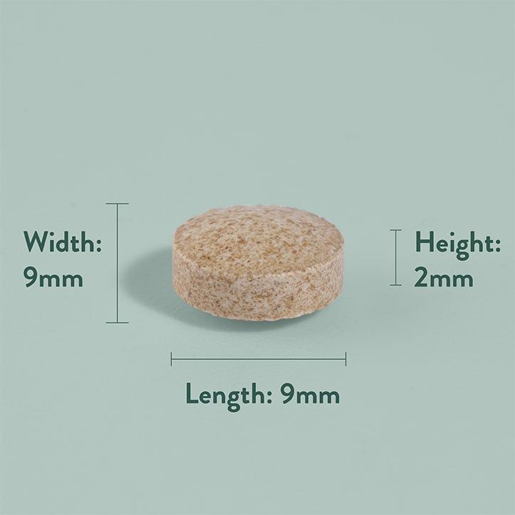 Holland &amp;amp; Barrett Enteric Coated Odourless Garlic 500mg 60 Tablets