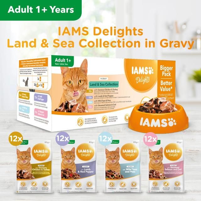 Iams Delights Adult Land &amp;amp; Sea Collection in Gravy Multipack   48 x 85g