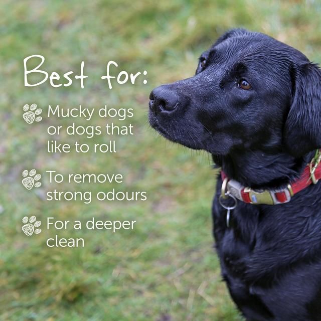 Little Beast Organic Smelly Dog Shampoo Bar   100g