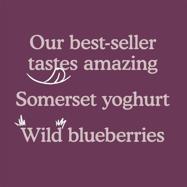 Little Freddie Blueberry &amp;amp; Banana with Greek Yoghurt Organic Pouch 6 mths+   100g