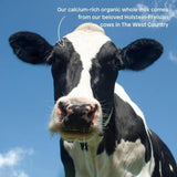 Little Freddie Organic Sweet Potato &amp;amp; Carrot Yoghurt Pouch 6 mths+   100g