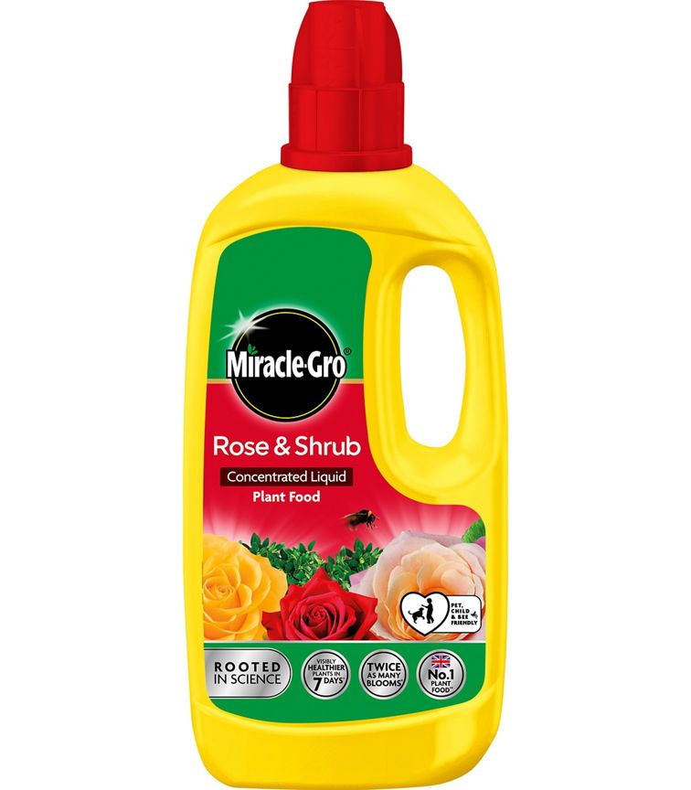 Miracle Gro Rose &amp;amp; Shrub Concentrate Liquid Plant Feed