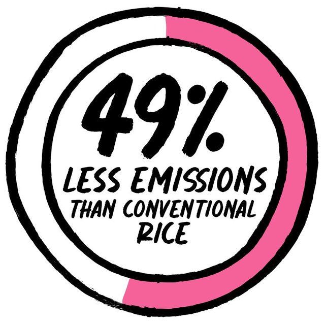 Nice Rice Wholegrain Basmati   250g