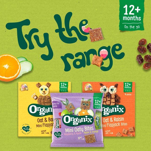 Organix Mini Organic Oat &amp;amp; Raisin Flapjack Toddler Snacks Multipack   4 x 20g