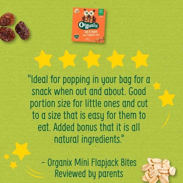 Organix Mini Organic Oat &amp;amp; Raisin Flapjack Toddler Snacks Multipack   4 x 20g