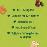 Organix Mini Organic Oat &amp;amp; Raisin Flapjack Toddler Snacks Multipack   4 x 20g