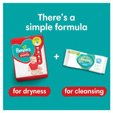 Pampers Baby Dry Pants Size 7, 2 x 50 Pack