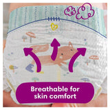 Pampers Premium Protection Nappies Size 6 (13kg+) Jumbo+ Pack   48 per pack