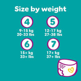 Pampers Premium Protection Nappy Pants Size 6 (15kg+) Jumbo+ Pack   42 per pack