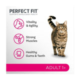Perfect Fit Cat Complete Dry Adult 1+ Salmon   2.8kg