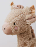 Personalised Giraffe Plush Toy