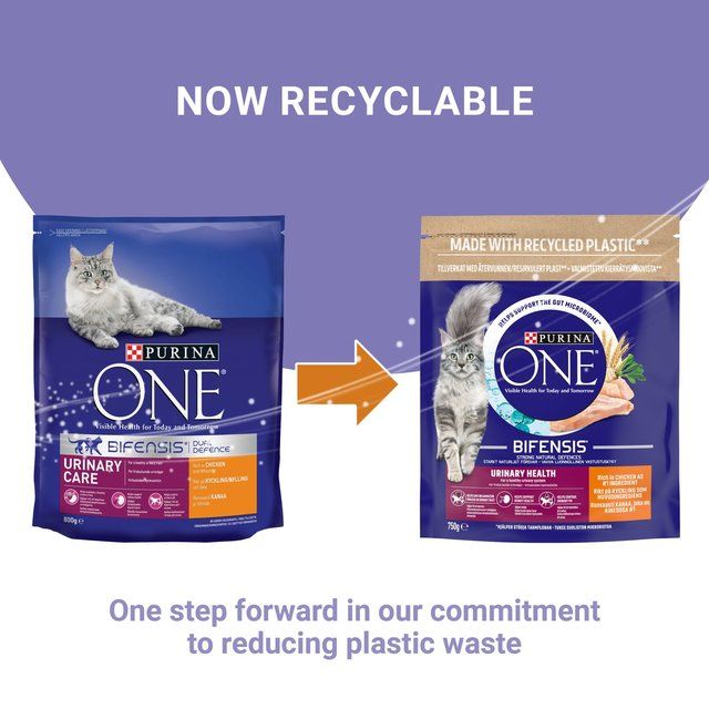 Purina ONE Urinary Care Dry Cat Food Chicken   750g