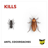 Raid Ant &amp;amp; Cockroach Killer