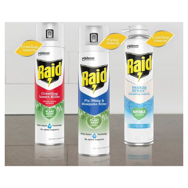 Raid Plant Based Fly Wasp &amp;amp; Mosquito Killer Aerosol Spray   300ml