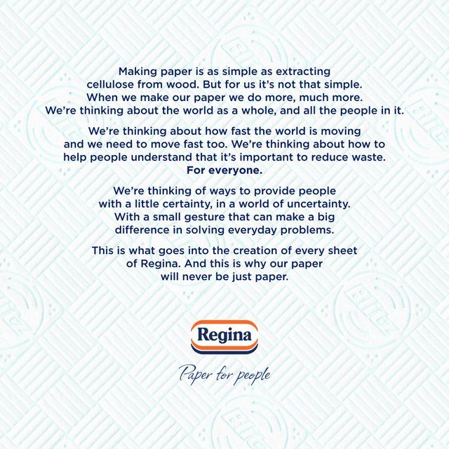 Regina Blitz 4 Roll   4 per pack