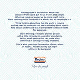 Regina Blitz Household Towel    3 per pack