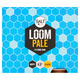 Salt Loom Pale 4 X 330ml