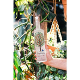 Sapling Climate Positive Vodka   70cl