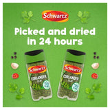 Schwartz Coriander Leaf Jar   7g