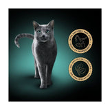 Sheba Fillets Cat Food Tray with Chicken Shrimp and Ocean fish in Gravy   60g