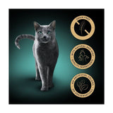 SHEBA Natures Collection Cat Pouches Poultry Collection in Jelly   40 x 85g