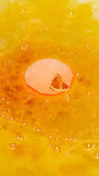 The One With Orange Slices Bath Bomb