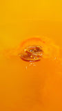 The One With Orange Slices Bath Bomb