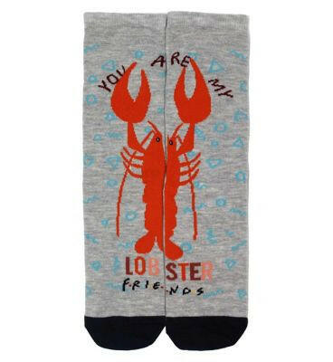 Warner Bros Friends 1pk Ladies Ankle Sock GOODS Boots   